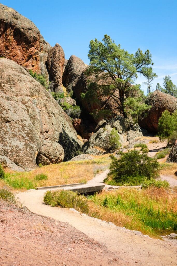 Pinnacles National Park