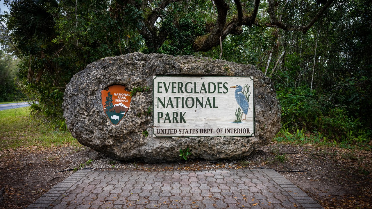 Everglades National Park Guide