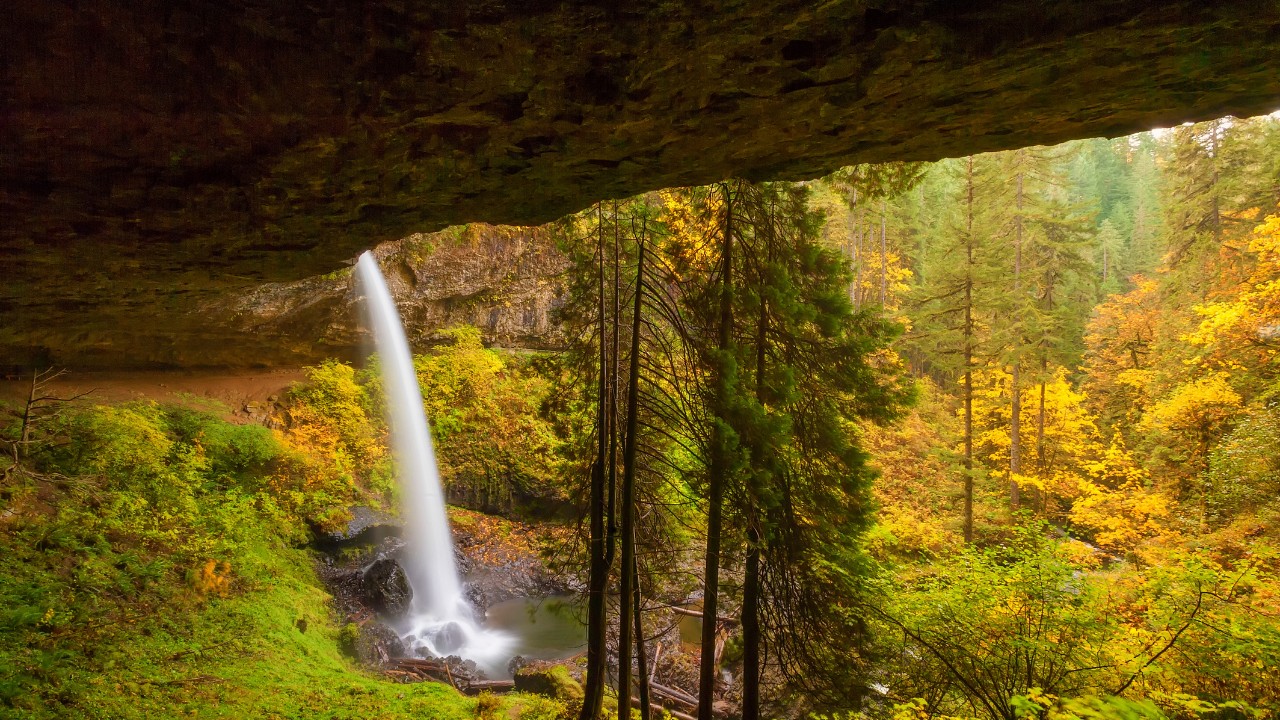 Silver Falls State Park Oregon