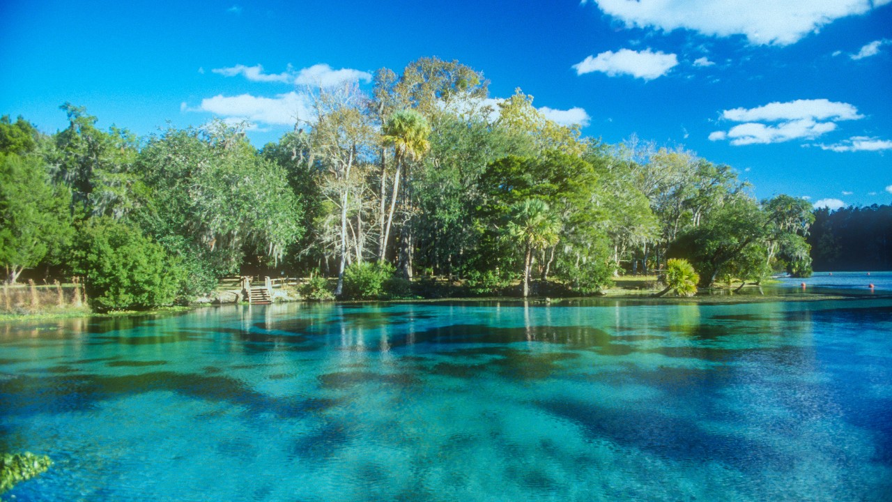 Natural Springs in Florida