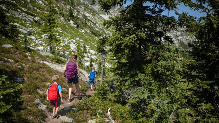 Yosemite National Park With Kids: A Family Friendly Guide