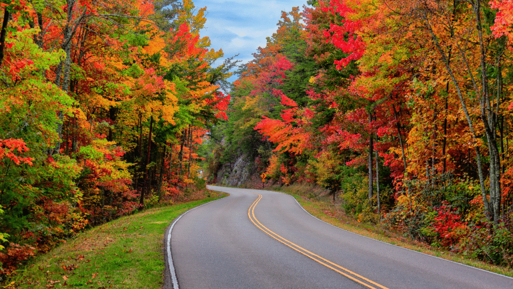 Tennessee road trip ideas
