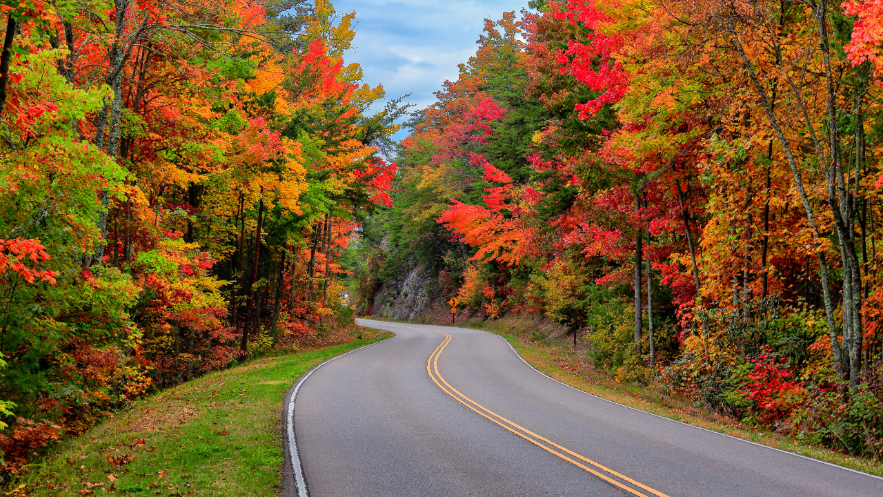 Tennessee road trip ideas