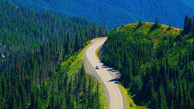 Washington Road Trip Ideas