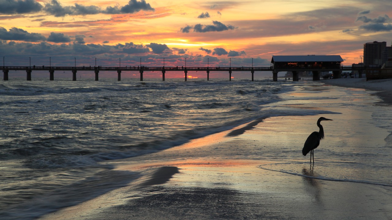 Alabama Road Trip Ideas