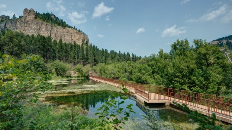 Black Hills South Dakota