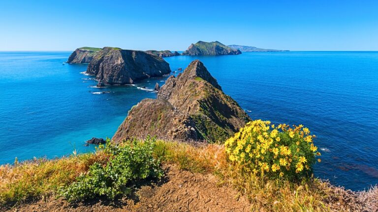 Channel Islands National Park