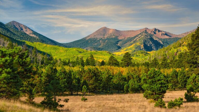 Coconino National Forest Arizona