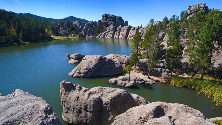 Custer State Park South Dakota