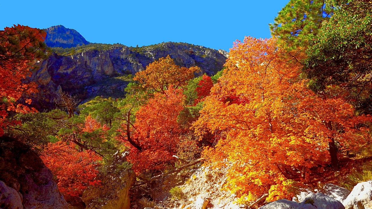 Guadalupe Mountains National Park