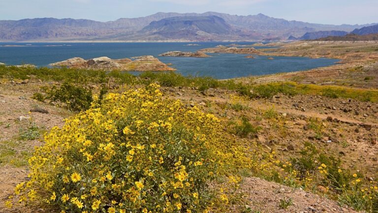 Lake Mead Nevada
