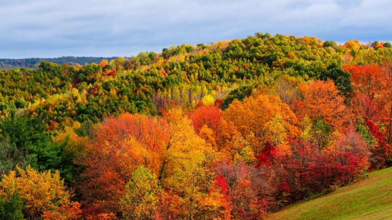 Ohio Road Trip Ideas
