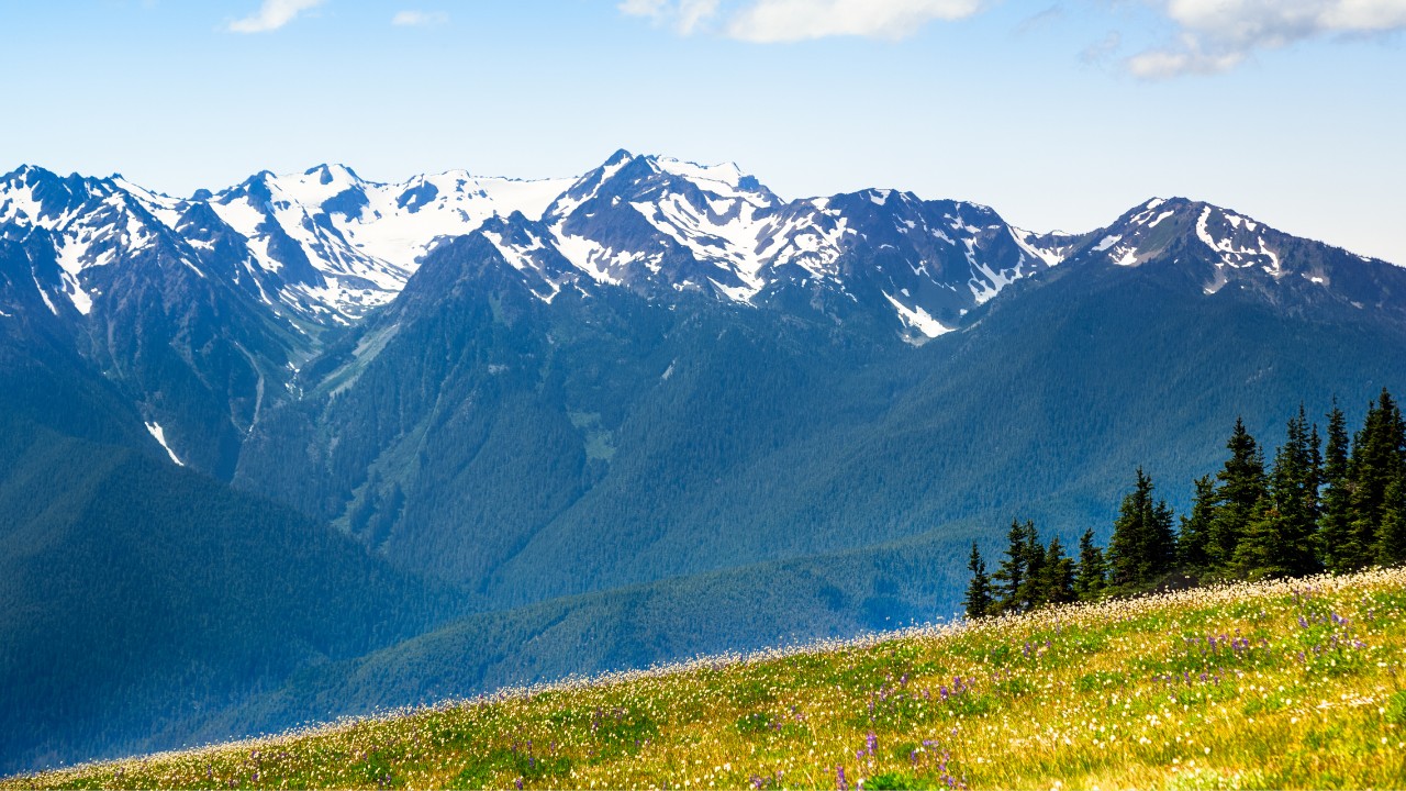 Olympic National Park