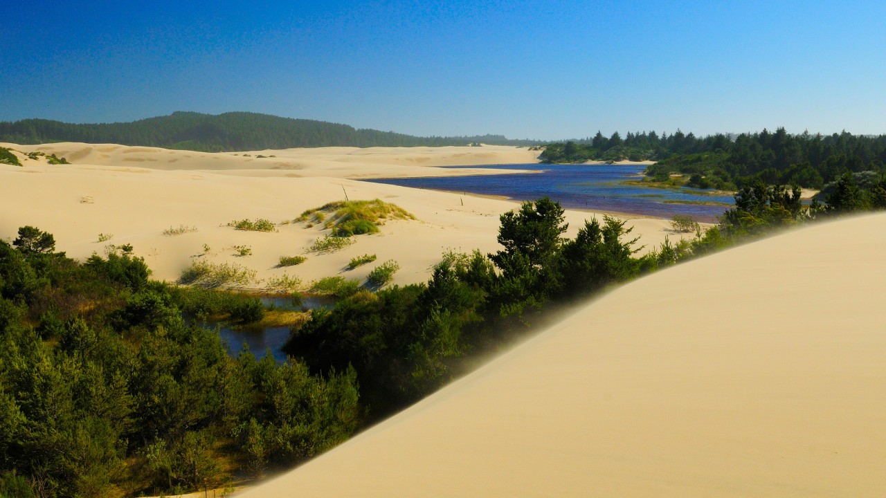 Oregon Dunes National Recreation Area