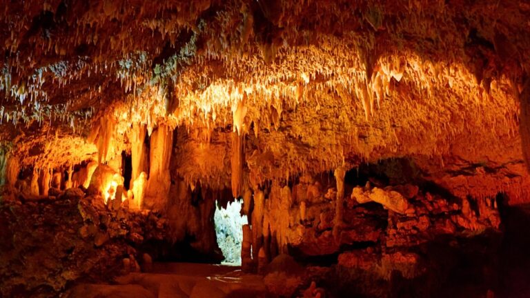 Wind Cave National Park South Dakota