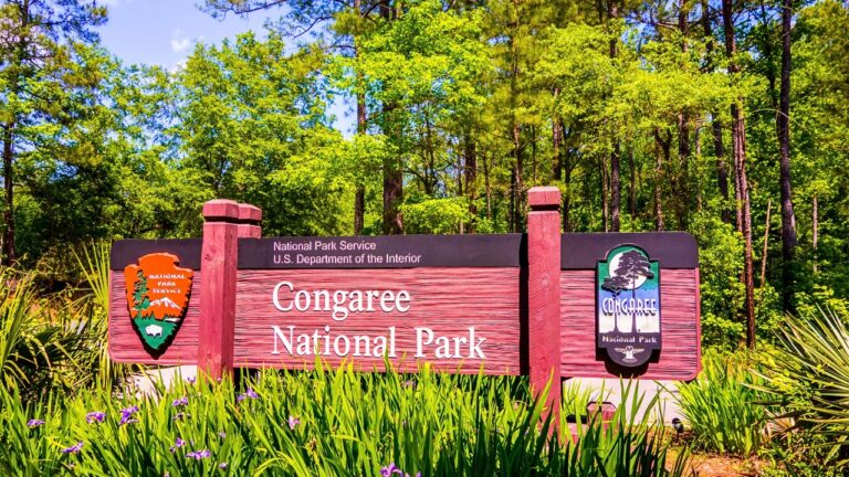 Congaree National Park