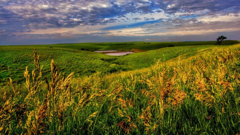 kansas road trip ideas