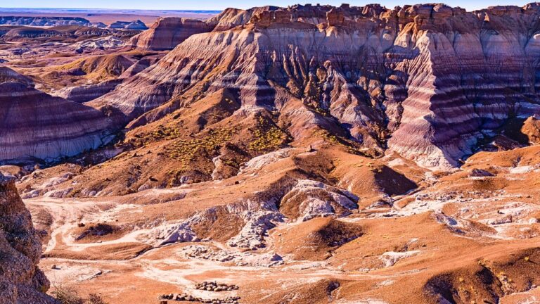 petrified forest national park
