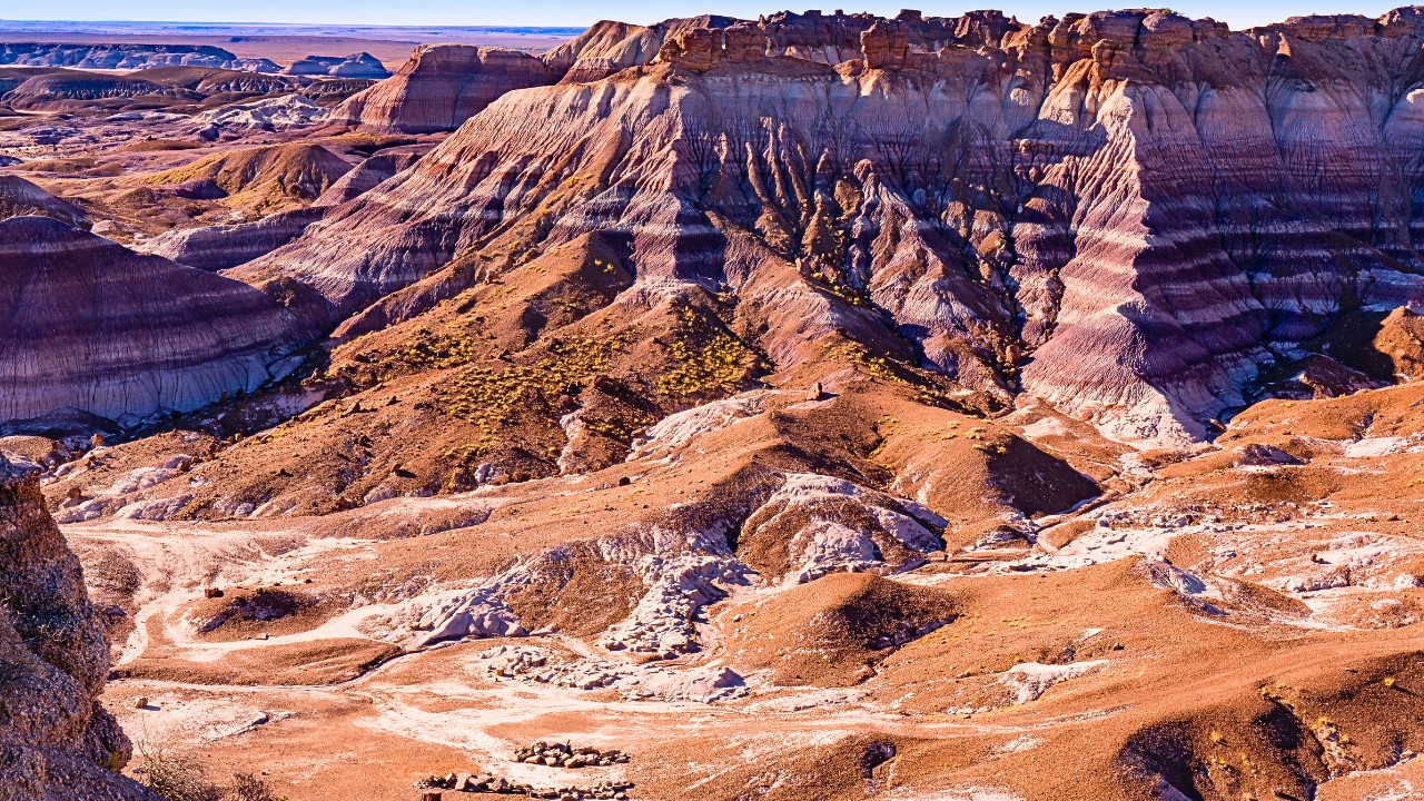 petrified forest national park