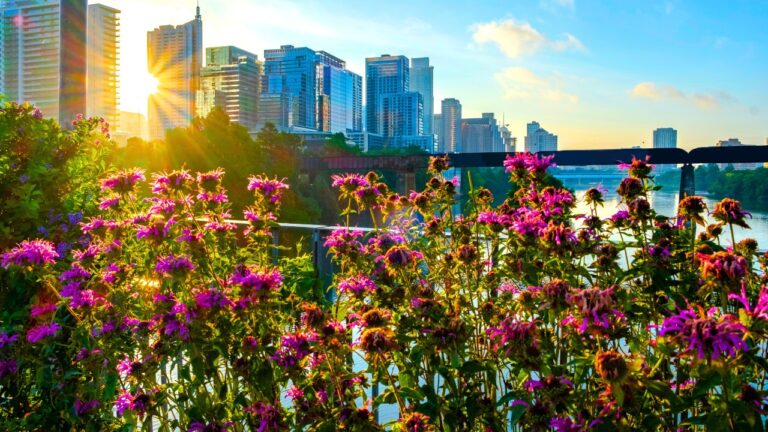 Austin Texas