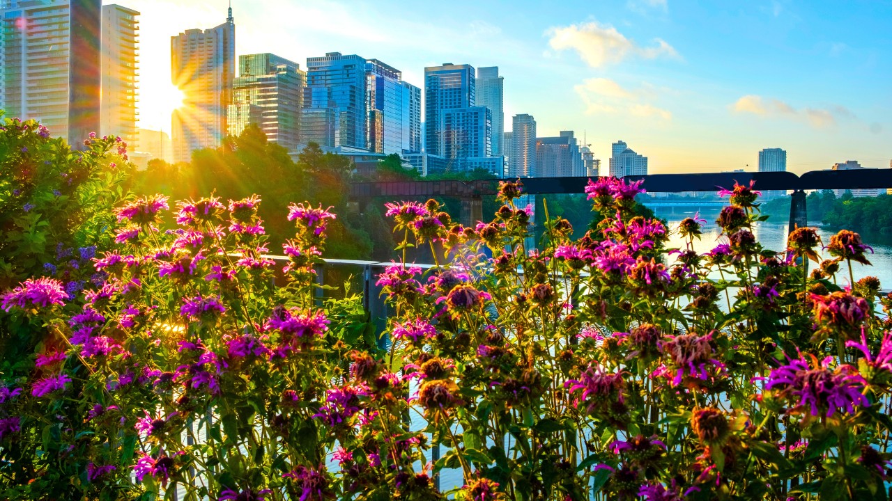 Austin Texas