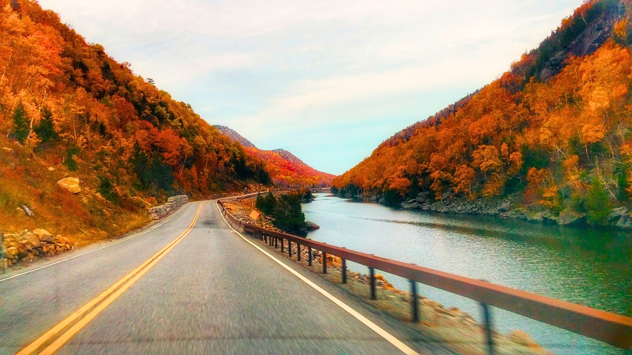 Fall Foliage Road Trips