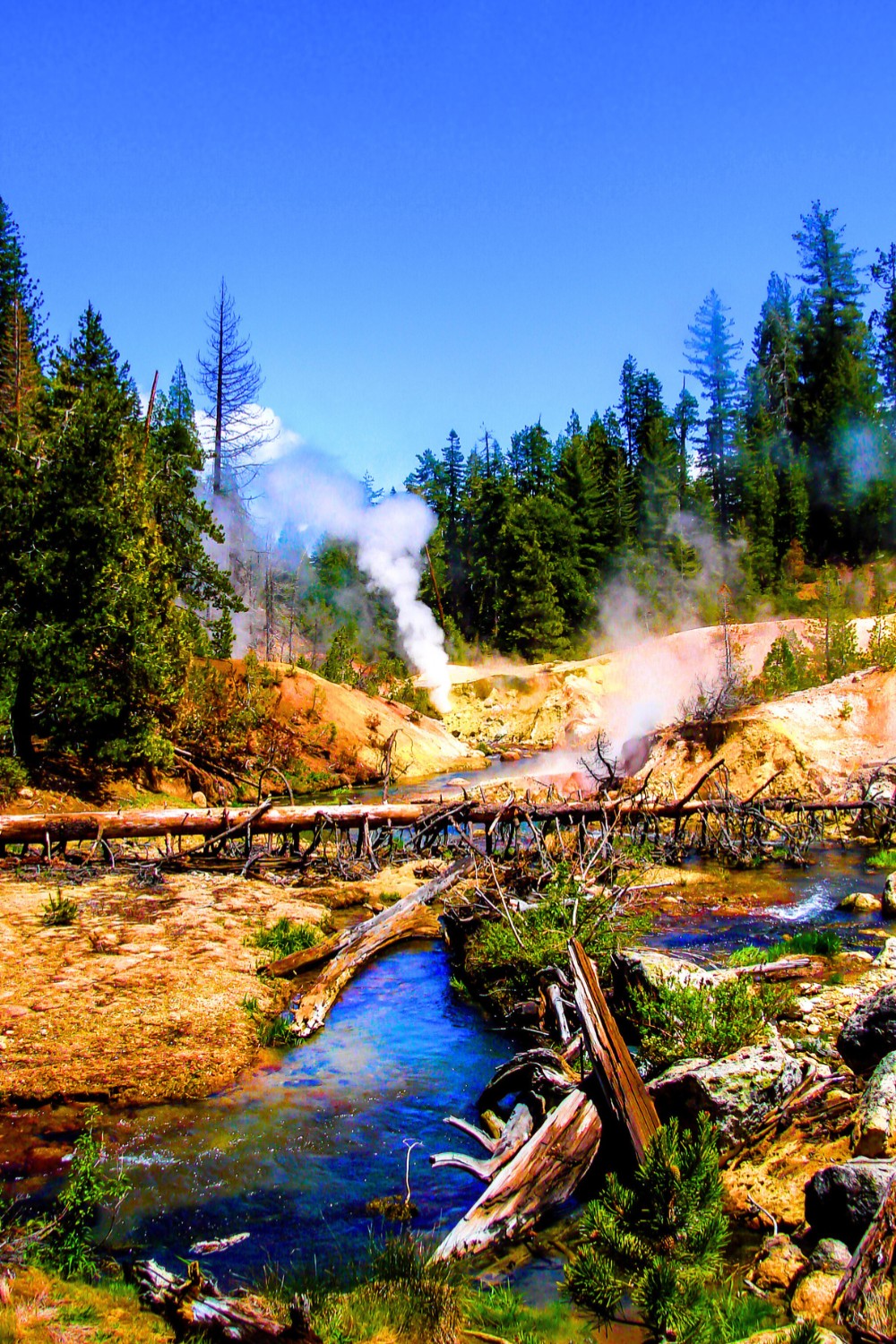 The Ultimate 10 Day California National Park Road Trip Loop The 