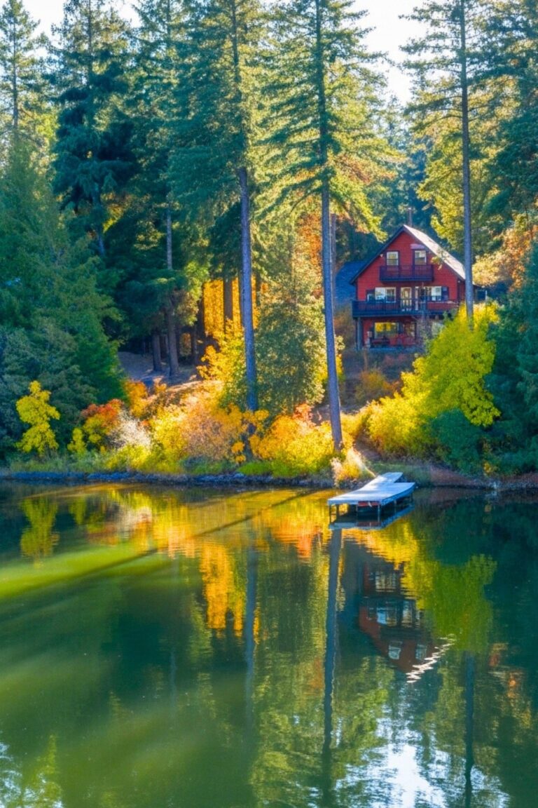 15 Cozy Cabin Weekend Ideas for Every Type of Traveler | The Nature Seeker