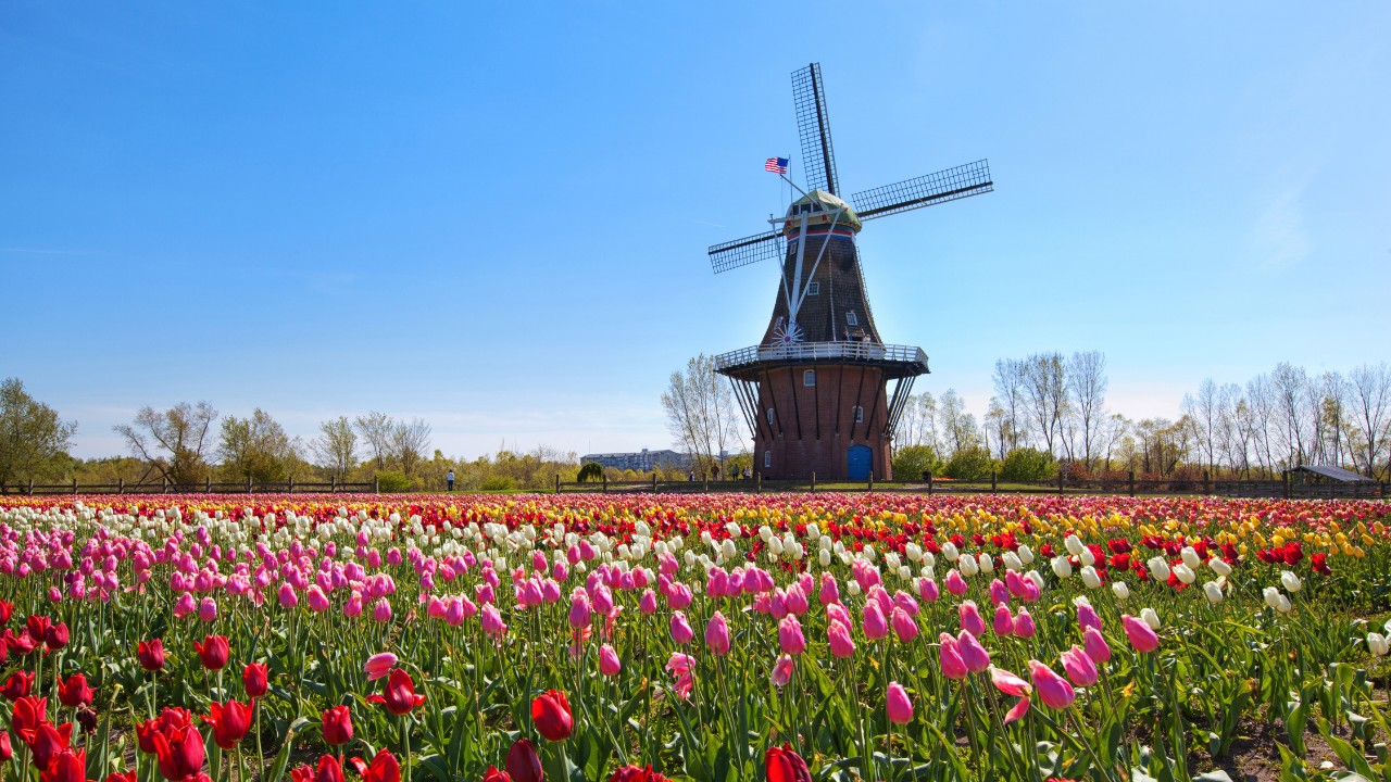 things to do in Holland Michigan