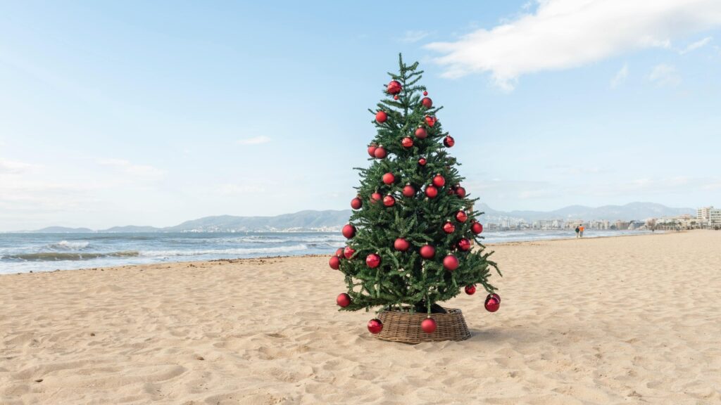 Christmas Vacation Ideas