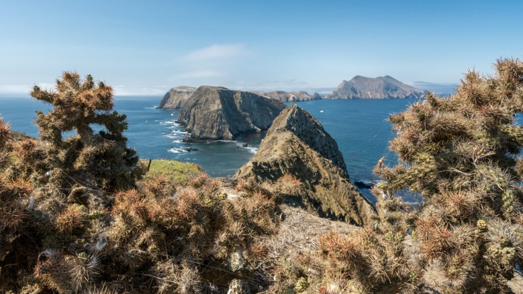 West Coast National Park Road Trip