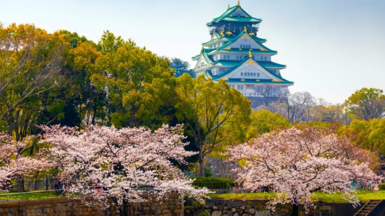 Japan Itinerary 10 Days: A First Time Travel Guide