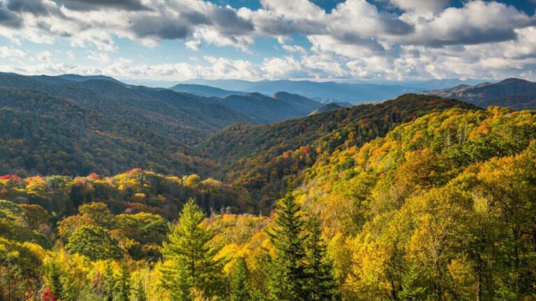 blue ridge parkway road trip picture