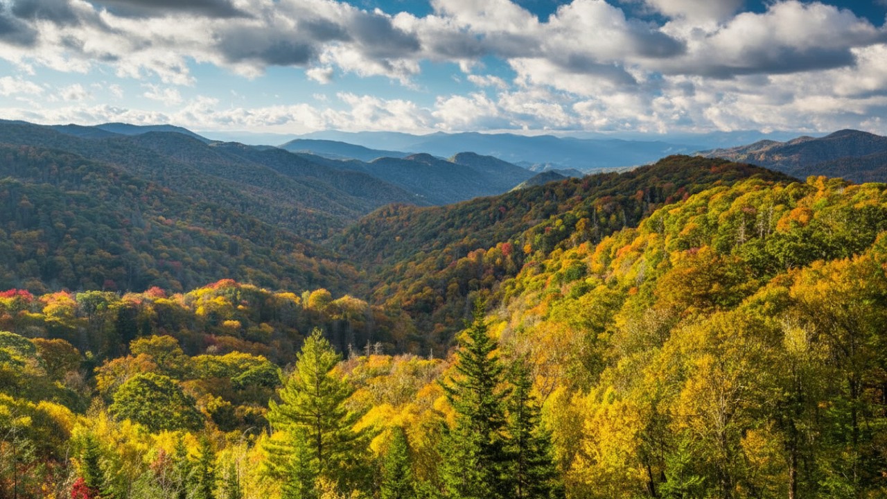 blue ridge parkway road trip picture